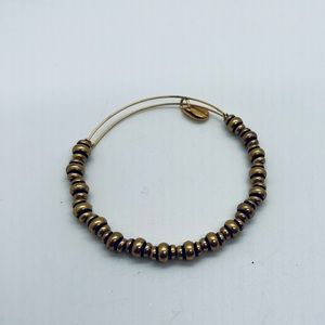 NWOT Alex and Ani Gold Expandable Beaded Charm Bracelet. Energy!